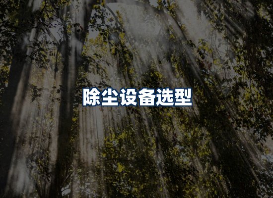 专业团队办公环境