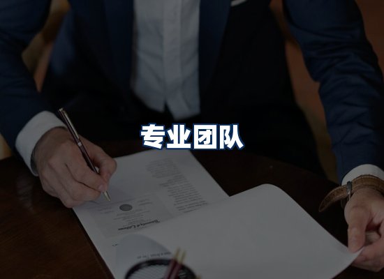 专业团队