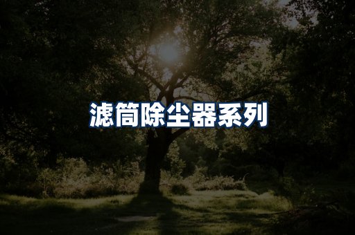 滤筒除尘器展示